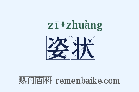 姿状是什么意思的图片